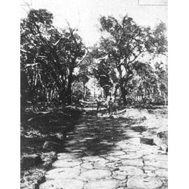 Block paving Wanneroo Road in 1902