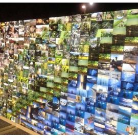 Display of photographs at the Blink Photographic Awards in 2014