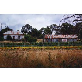 Bestry Cottage with Tony's for flowers sales shed in the former stables 