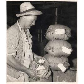 Beresford Arbuckle with bags of produce