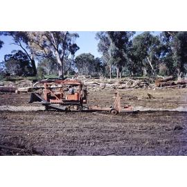Beb and Roger clearing land at the Arbuckle market garden in Gwelup