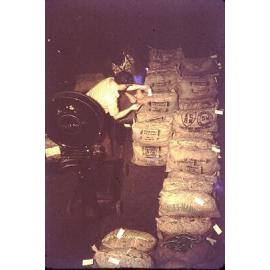 Sacks of beans from the Arbuckle market garden