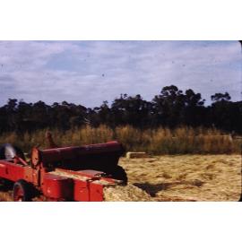 Baling hay on the Arbuckle market garden