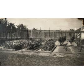 Backyard of 64 John Street Inglewood c1950