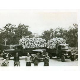 Arbuckle trucks loaded with cauliflower for market