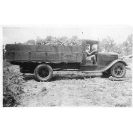 Arbuckle truck loaded with carrots for market