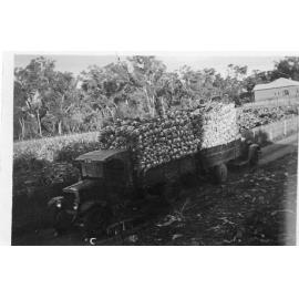 Arbuckle family's trucks loaded for market 