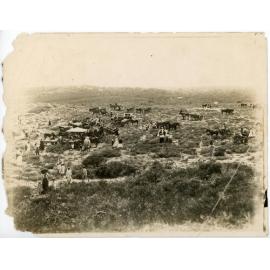 Annual picnic to Scarborough