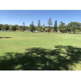 Alexander Park view