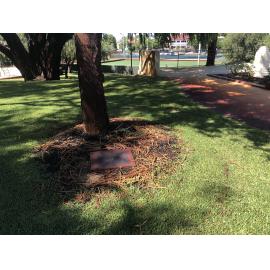 RSL Bicentennial ANZAC day tree memorial plaque