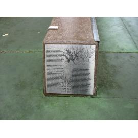 Detail of Edith Cowan Reserve Teacher Education plinth