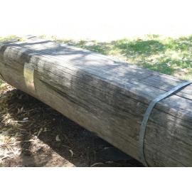 Lilian Fletcher memorial plaque 