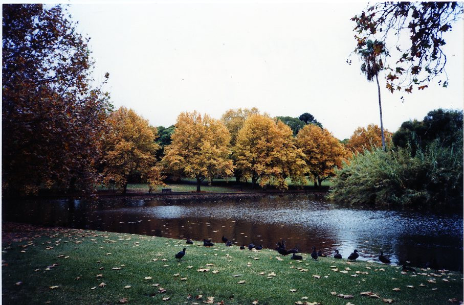 Little Carine Swamp
